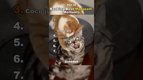 Funniest Medazelli#ranking #medazelli #tiktok