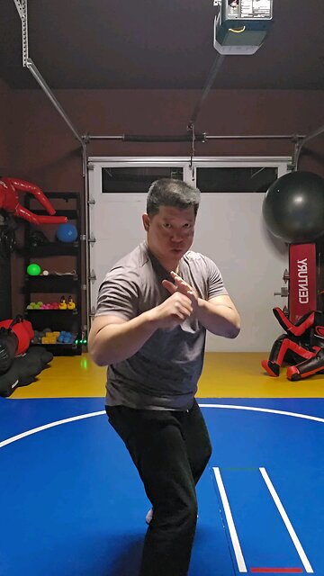 WTD Hand Combination 2, Bridge Set (Rank 2)