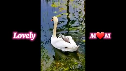 Lovely🥰mom😊