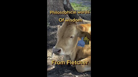Words of wisdom about eating from Fletcher.