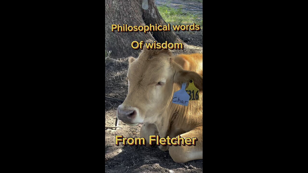 Words of wisdom about eating from Fletcher.