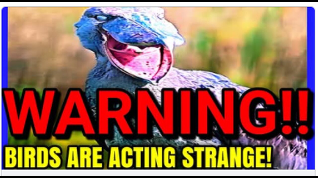 Birds Are Eerily Dying Together... And No One Knows Why - HoursOfHorror