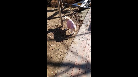 20251221. Jesus Christ