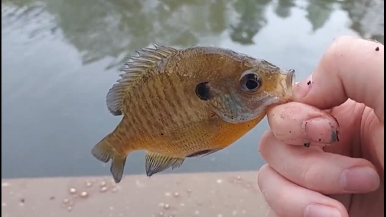 Fishers of Men