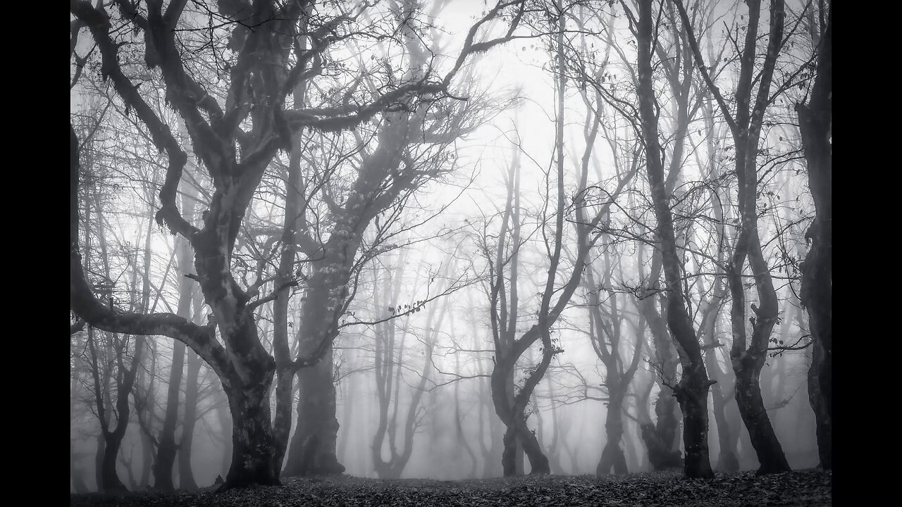 Song: The Grim by Hinder The Selfish