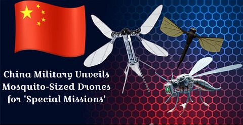 China's Mosquito-Sized Spy Drones Are Real