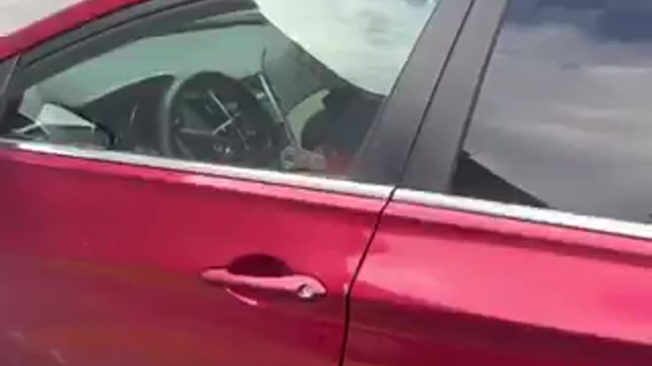 New Immigrants Think It’s Ok to Park Anywhere
