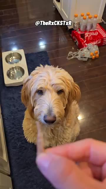 Treat or Finger