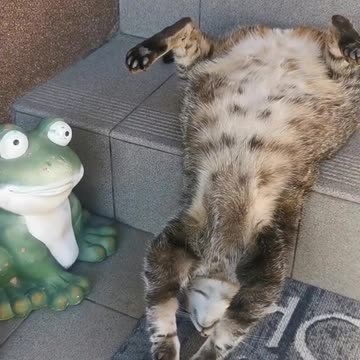 Rough night at the Christmas party 🤣