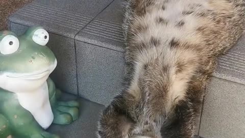 Rough night at the Christmas party 🤣