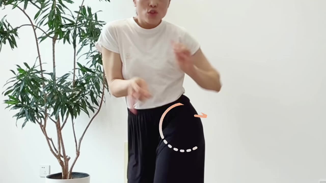 948.松髋开胯 外翻内打