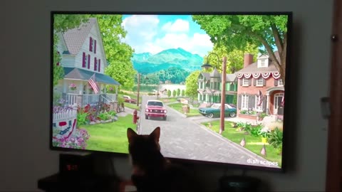 😸🐱 My Cat's Keeping Safe... | FunFM