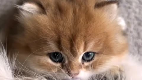 Cutest baby