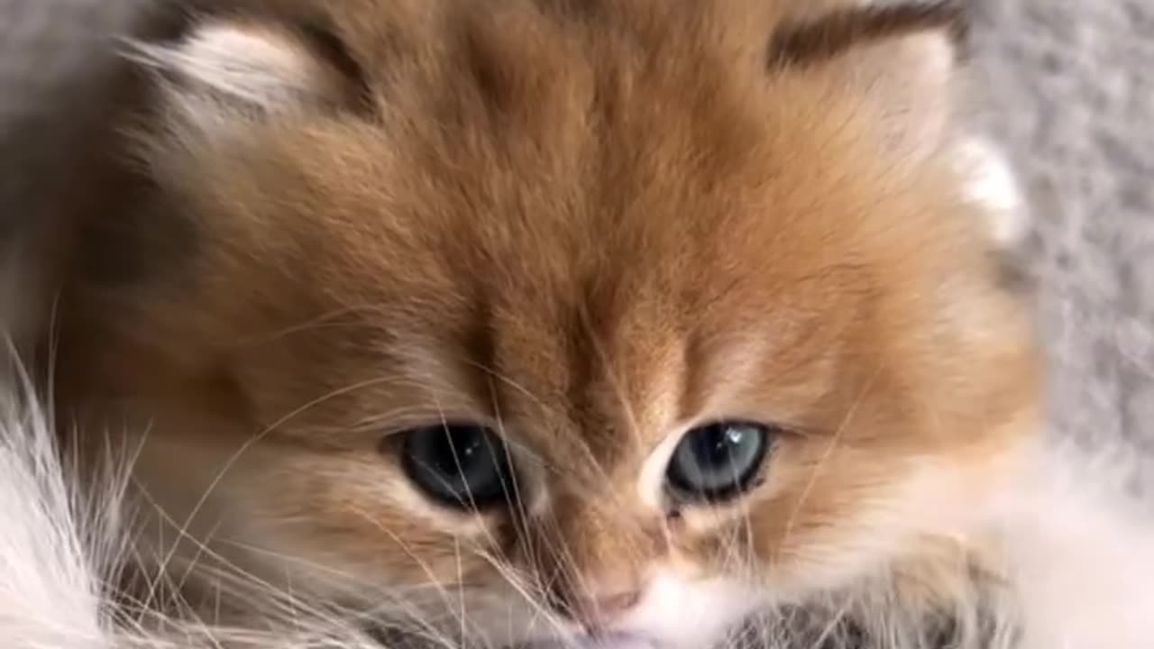 Cutest baby