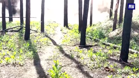Precision Strikes from T-90M Tanks on the Frontlines
