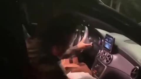 “YOU WHITE PIECE OF SHIT, YOU PICK UP THE TRASH! WE DID IT FOR 400 YEARS, BITCH!!!”