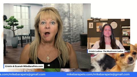 News Update & The Mushroom Ladies!