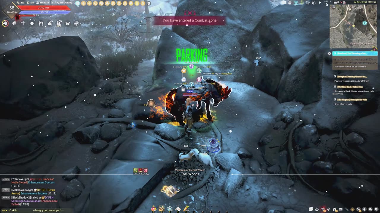 Black Desert Gunslinger 2