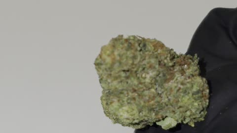 Lemon Barz THC Flower
