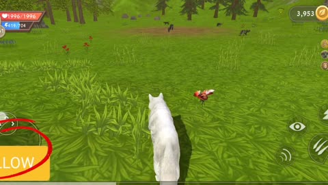 Playing wildcraft