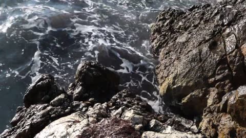 Ocean wave sound