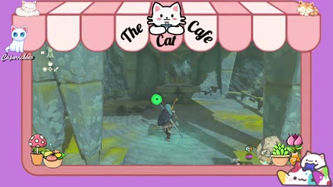 Chilling! on tears of the kingdom! Come hang out!