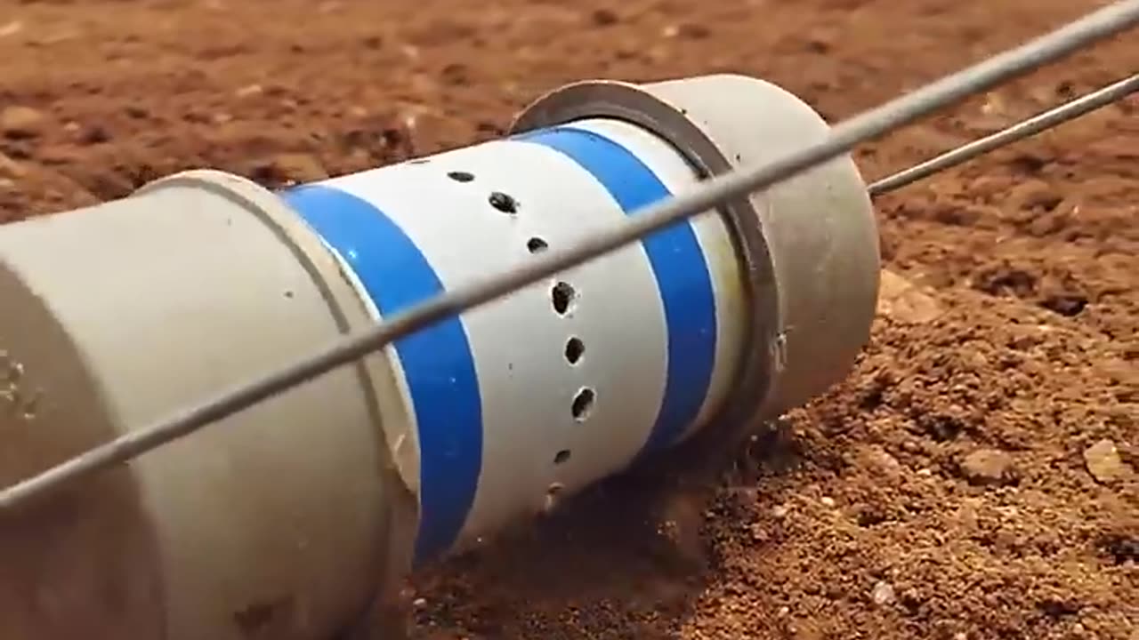 🔥Seed sowing innovative idea!👏🏻👌🏻#agriculture #farming #seed #short