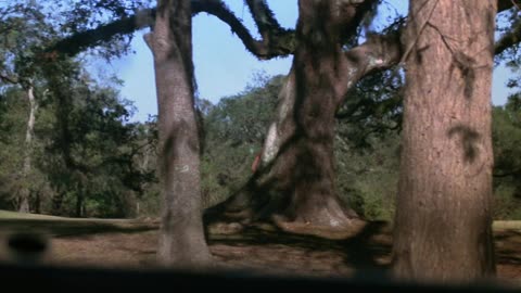 The.Drowning.Pool.1975 BluRay film