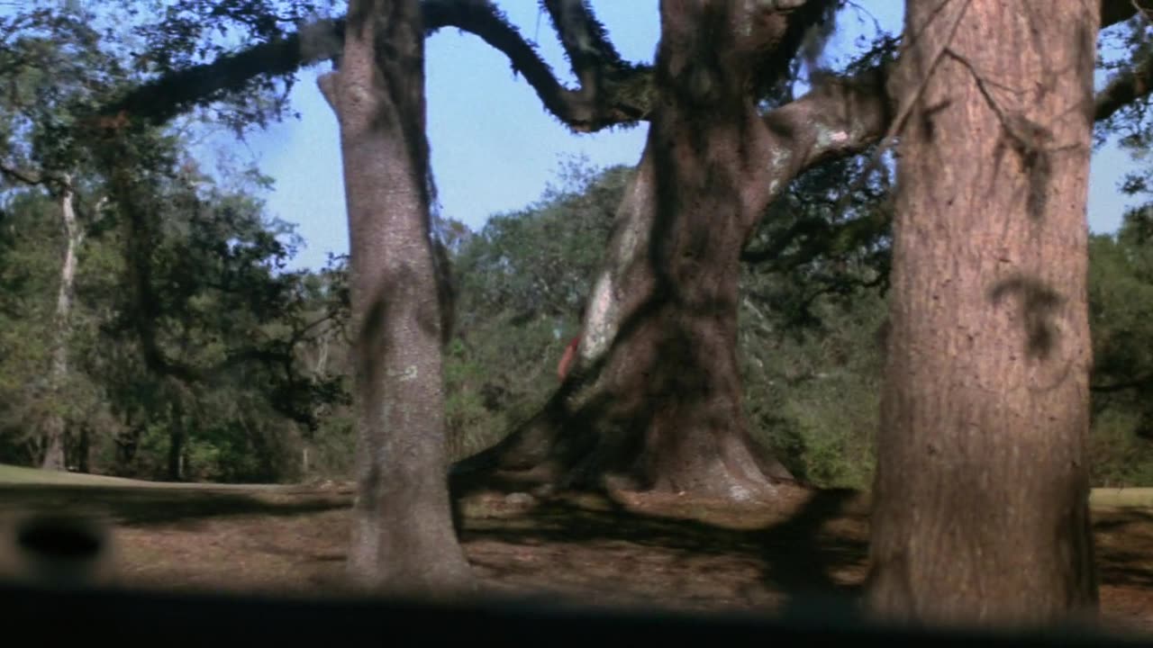 The.Drowning.Pool.1975 BluRay film