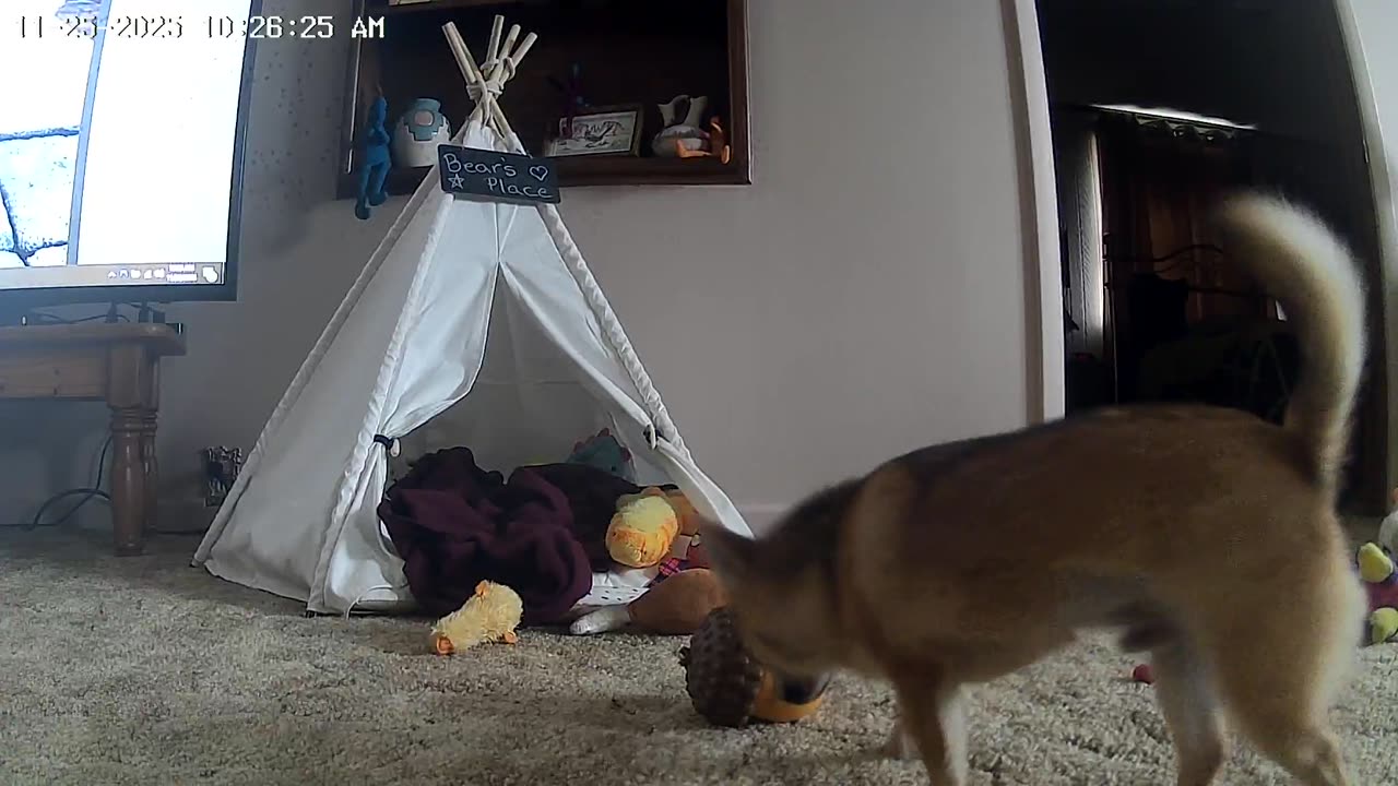 Snack Time At Bear's Place!