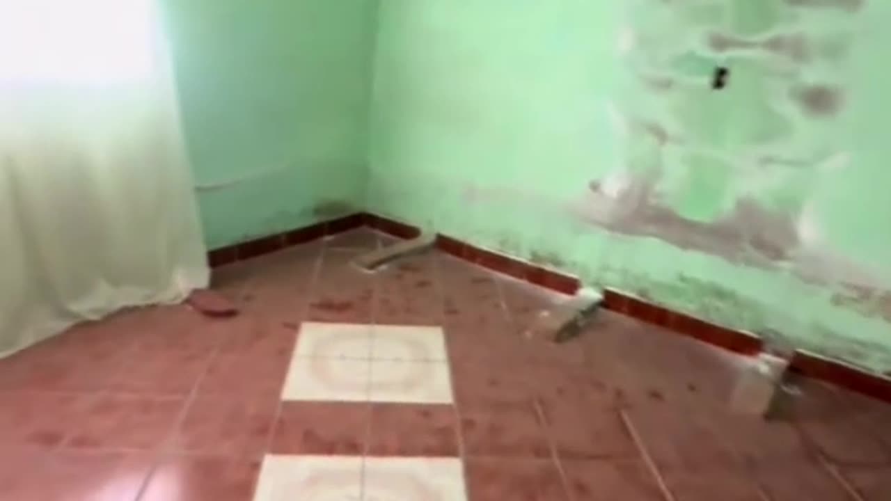 Looking for homes in Mexico