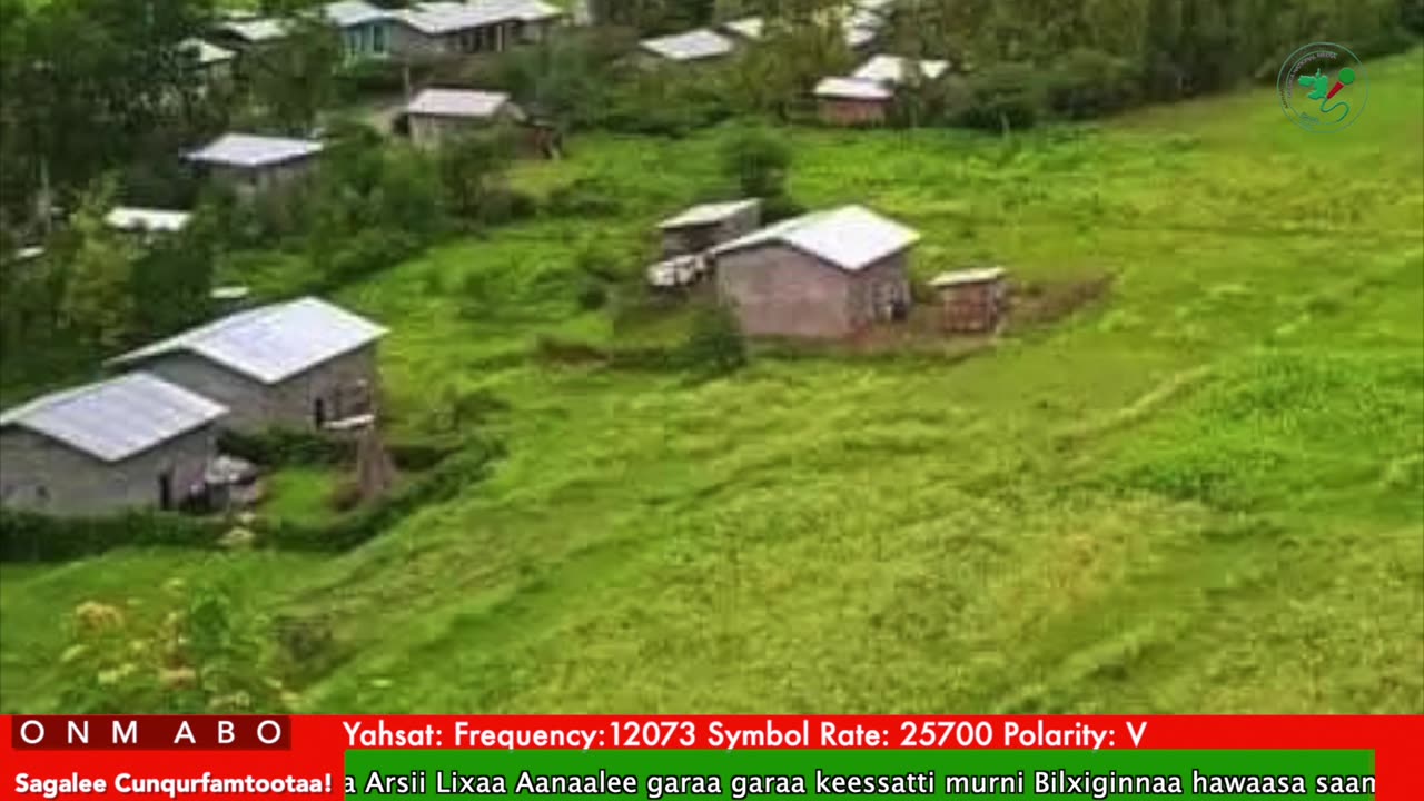 Oduu Waaree ONM-ABO Onkoloolessa 25-2025 itti dhiyaadhaa!