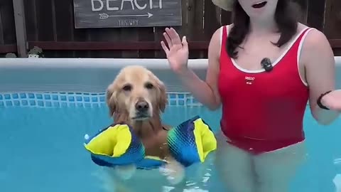 We’ve tried everything