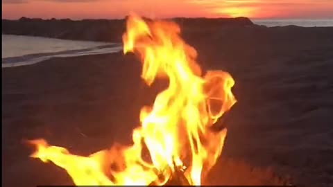 Daily Horoscope | Aries 🌟