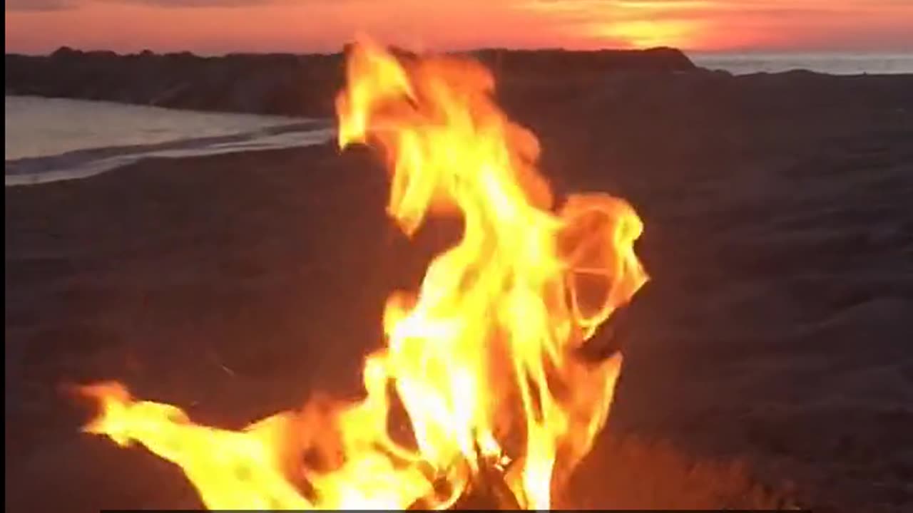 Daily Horoscope | Aries 🌟