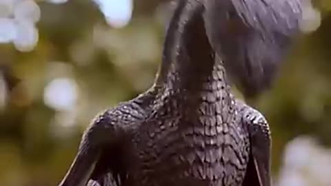 Daenerys Targaryan Mother of dragon best scene