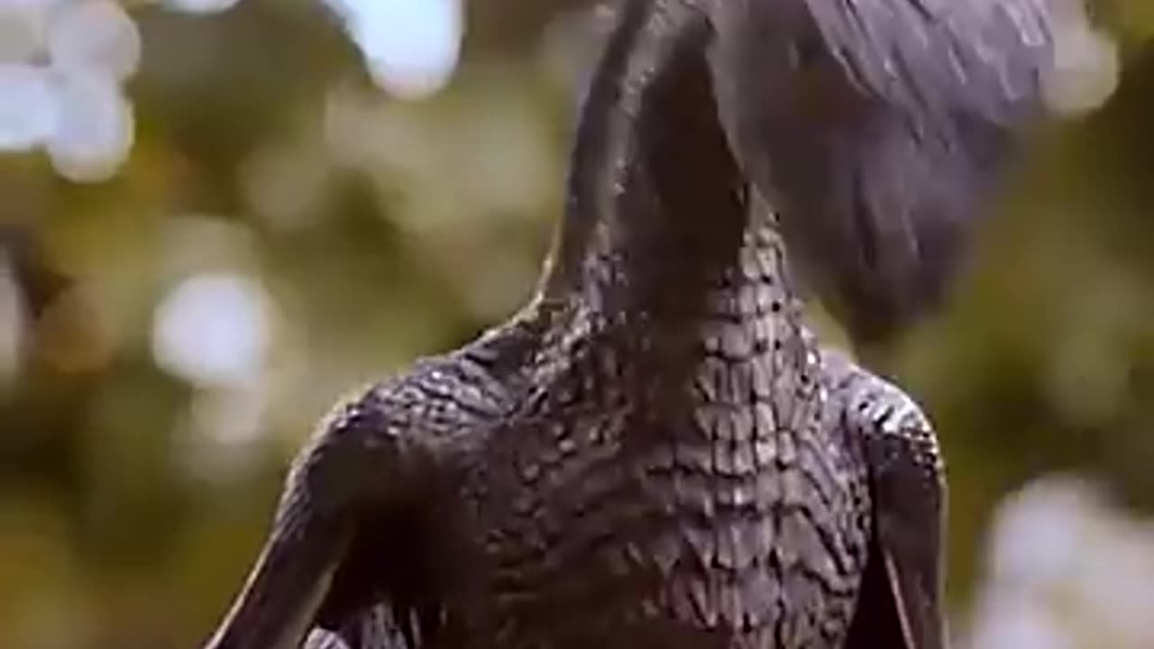 Daenerys Targaryan Mother of dragon best scene