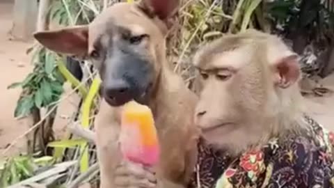 💋Good Morning, Two Unlikely Friends