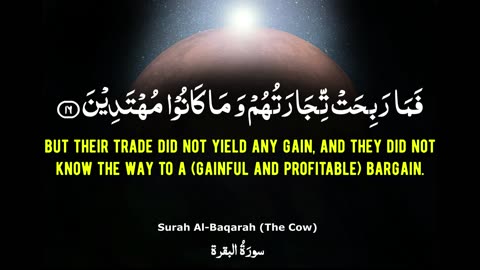 Most Beautiful Quran Recitation I Chapter 02 I Surah Al-Baqarah Verse 15-18