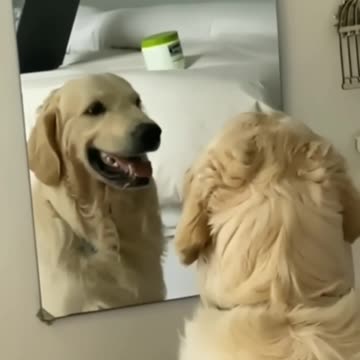 Trying out new smiles 🤣