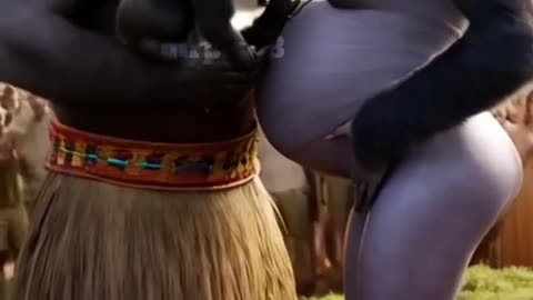 Funny Animal Videos