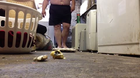 Barefoot Walkover Crush - Date: 10/20/2015