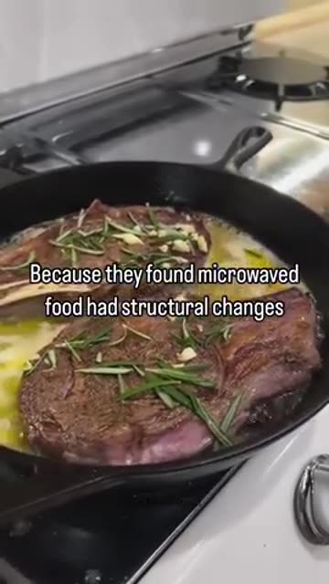 Why A Microwave Oven is NOT Allowed in My Kitchen - Gubba Homestead