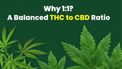 1 to 1 CBD THC Ratio: Why it’s The Ideal for Your Body and Mind