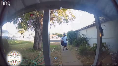 Did This Mailman Really Pepper Spray a Cat? | Shocking Mail Carrier Incident Caught on Camera