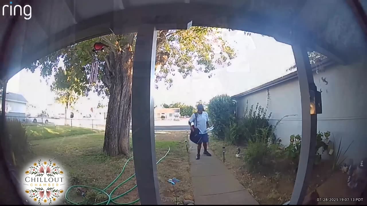 Did This Mailman Really Pepper Spray a Cat? | Shocking Mail Carrier Incident Caught on Camera