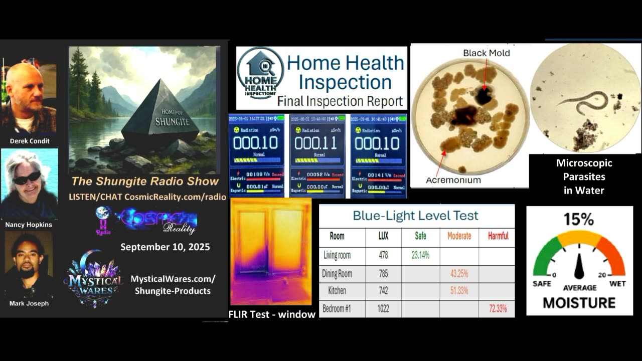 SHUNGITE REALITY 9/10/25 - Home Health Inspection Report
