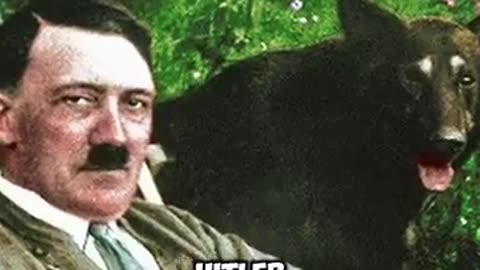 You know he wrote that joke just to get away with it. RIP Norman