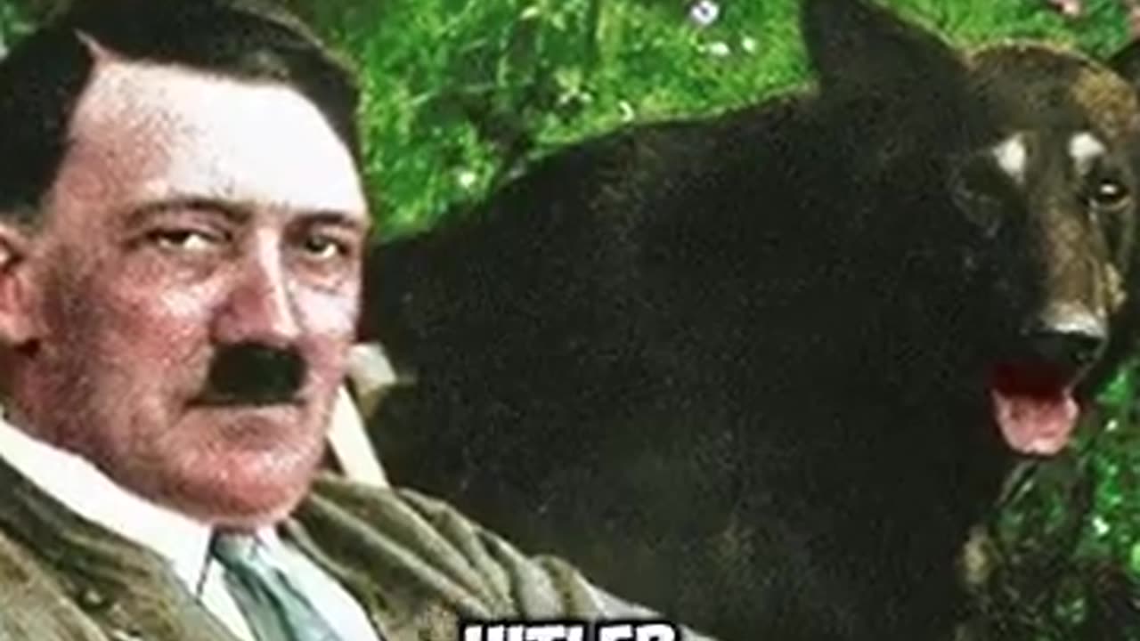 You know he wrote that joke just to get away with it. RIP Norman