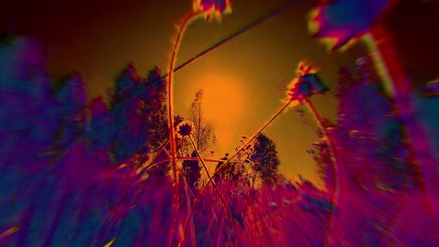 Spring Night (short poem)